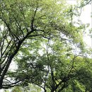 구룡산성 이미지