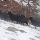 박종봉농장 이미지