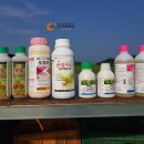 옥천농협북일지점 이미지