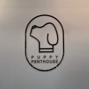 퍼피펜트하우스 이미지