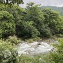 샤크빌리지7 이미지