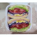 샌드홍 이미지