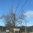 해플스농원 | 거창카페|해플스팜사이더리|거창과수원카페|거창양조장카페|거창사과파이도넛|🍎