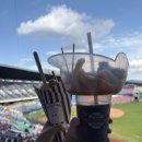 야구장1 | 잠실야구장 1루 네이비석 후기(302블럭 시야)