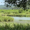 두루미공원 화장실 이미지