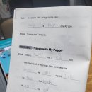 Happy tail 이미지