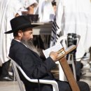 인함이천 이미지