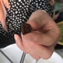 주식회사 래오이경제