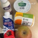 스위치온 다이어트 24일차 후기 / 식단 (내돈내산 하이뮨 프로틴밸런스 액티브 딥초코, 요구르트런...