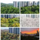 이나영공인중개사사무소 이미지