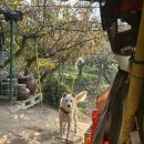 경원농장 | 블챌 2주차(11.9~11.16)