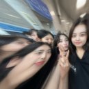 새로미 이미지