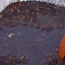 산골물소리 이미지