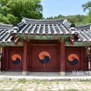 홍산향교 은행나무 이미지