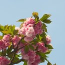 기초영어 이미지