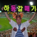 화끈한갈매기 이미지