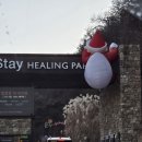 알파 사우나 | [가평] 새해엔 역시 사우나🧖🏻‍♀️ 더스테이힐링파크 1박2일 | 포레스트 A7 숙박 후기