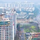 둥지마트 이미지