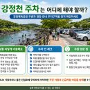 강정동-40 | (계곡여행)제주도민 물놀이 명소 강정천｜주차·화장실·구명조끼 정보