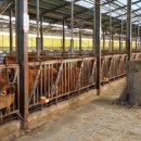 청계목장 이미지