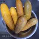자연은 담은 아침 그리고 마음 한켠의 걱정 이미지