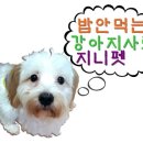 돈워리동물병원 이미지