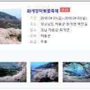 화개119지역대 이미지