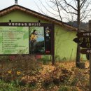 캠프원 관광농원 이미지