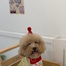 멍그레츄 이미지