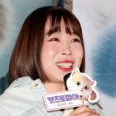 오마이캣츠 오마이뉴스