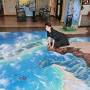 한삶갤러리카페 | [영주 풍기 카페] 이색카페 데이트 추천! 내부 전체가 포토존인 트릭아트 카페 '한삶갤러리카페'