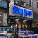 동해어부 | 화곡동 횟집, 까치산역 동해어부 모듬회