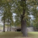 경기도미술관 화장실 | 아기랑 가을 용인 호암미술관 호암카페 - 루이즈 부르주아: 덧없고 영원한 관람 후기