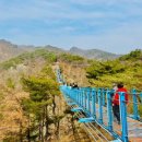 검배로 힐링거리 주변 | 원주 글램핑 추천 포레스트돔 감성 숙소 후기 (조용한 힐링 여행지)