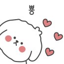 앨리스와인샵 이미지