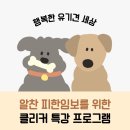 클릭! 하면 통하는 사이 – 2025 피한 임시보호자를 위한 교감 클래스-마감 이미지