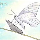석탄 이미지
