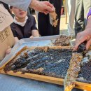 산너머그집 이미지