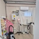 뽀송하댕 이미지