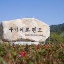 구미관광 시티투어 이미지