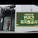 브이케어 이미지