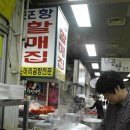 사람, 별 ,말이 어울리는 영천대말 | 대안적인 삶 37 - 국내 최초 전통시장 속 극장, 영천공설시장 별빛영화관, 돔배기와 곰탕골목