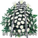 안옥순 - 북구 | 안옥순
