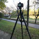 시민세이프티 | [공지] 포토클램 PTC 5442PLC 삼각대+54NS 볼헤드 사용후기