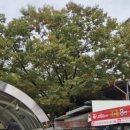 GS25 구로미성 이미지