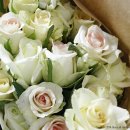 홍운농장 이미지