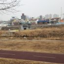 약사수변공원 이미지