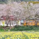 남구만 선생 초상화 | 충남 홍성 가볼만한곳 여행 홍성 거북이마을 수선화 구산사
