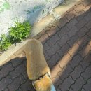 굿모닝이비인후과의원 이미지