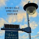 (교육칼럼) 아동학대 의무신고제의 역설! 교실이 무너지고 있다. 이미지